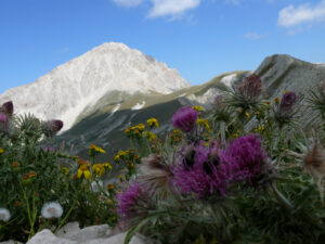 Abruzzo mountains